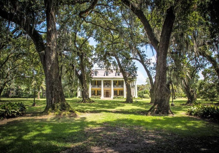 Houmas House front with trees