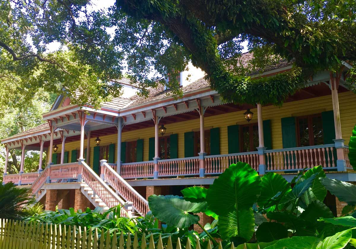 lauraplantation